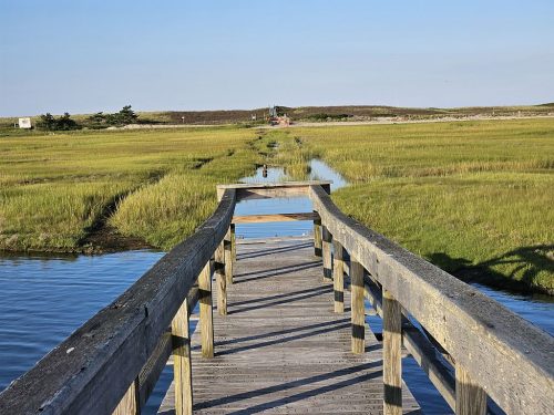 Sandwich Boardwalk גשר עץ מעל ביצות בקייפ קוד